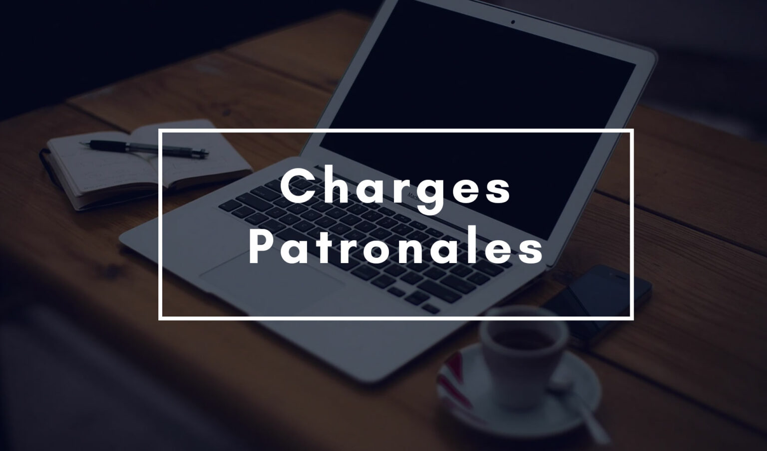 Optimisation charges patronales employeur Cotisations patronales